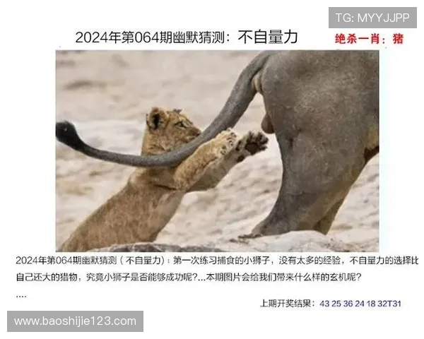 猜生肖开奖结果最新预测与精准分析